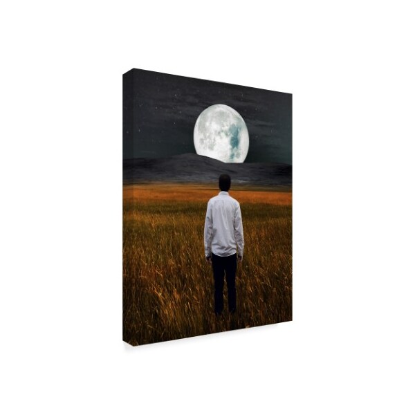 Ata Alishahi 'Moon And Me' Canvas Art,24x32